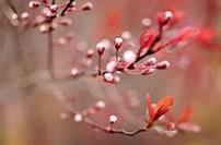 The Journey Newsletter: February 2025